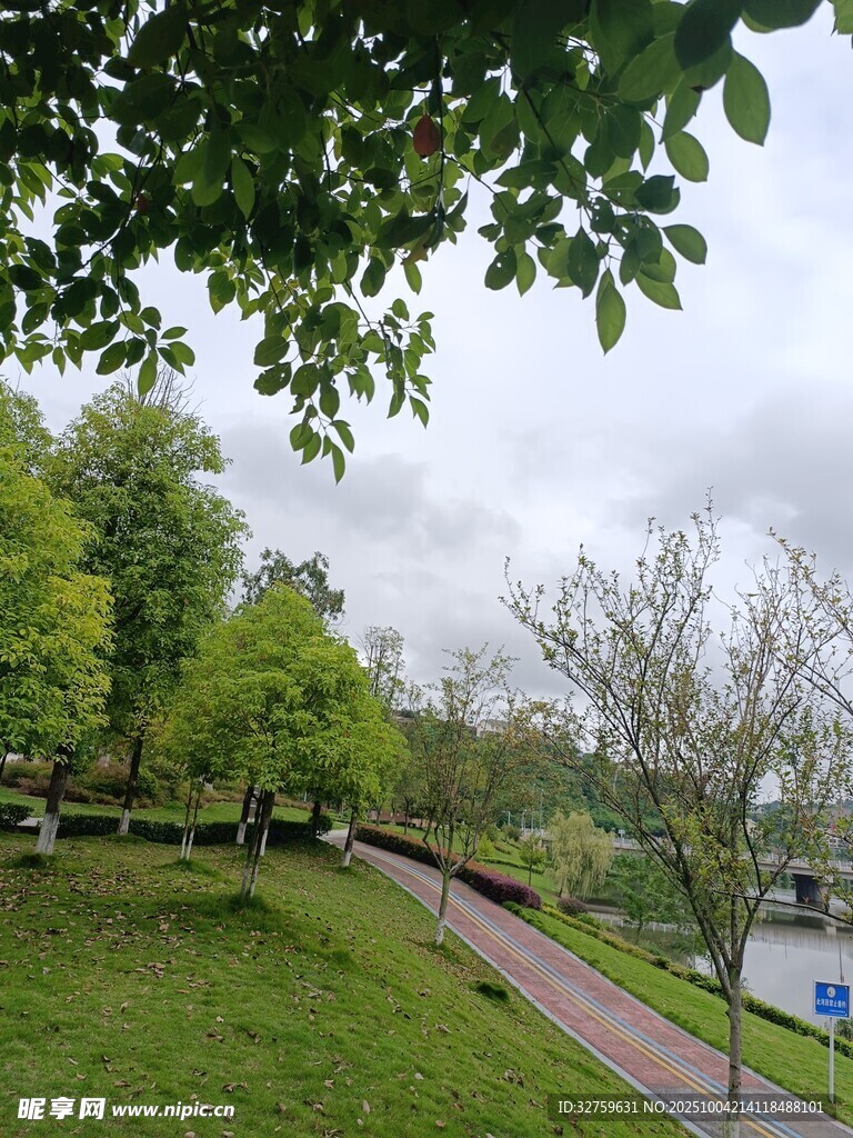绿意盎然的公园小径