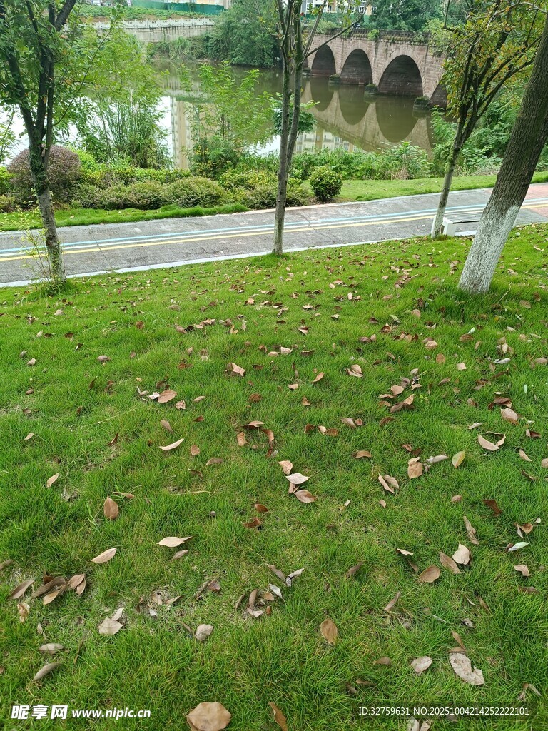 秋日公园草地与远处桥景