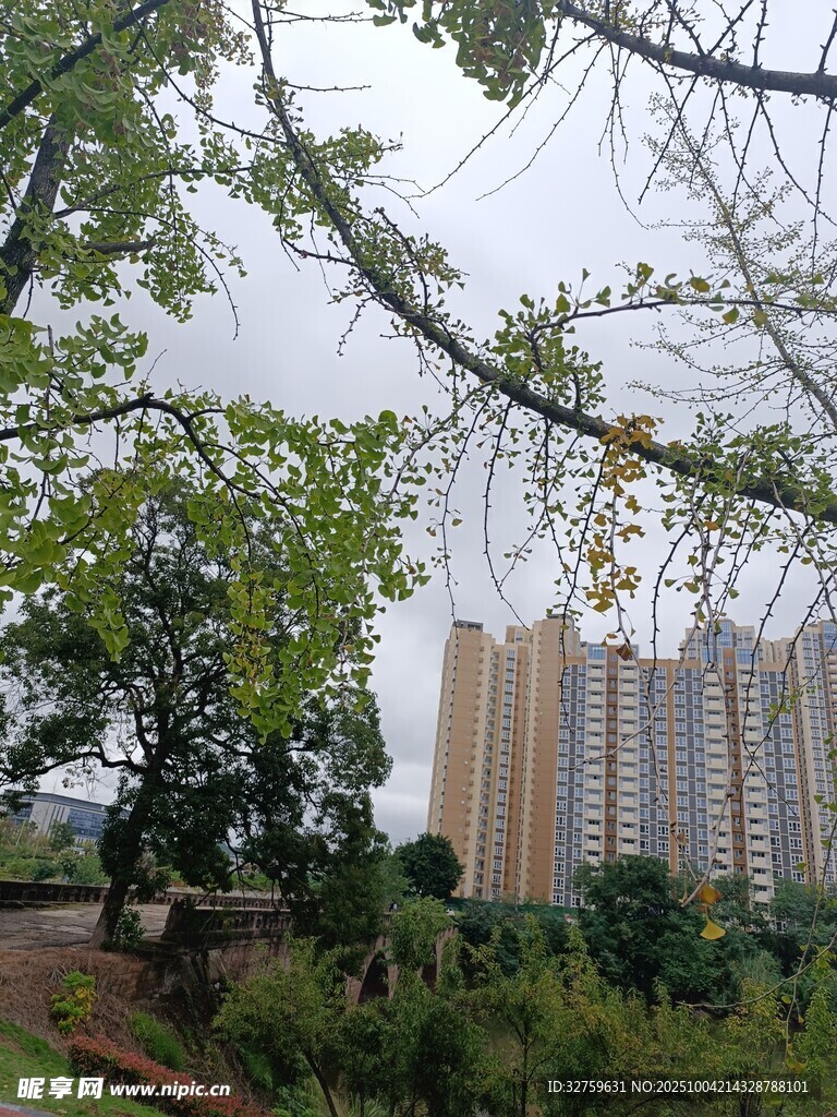 绿树环绕的高层住宅景观