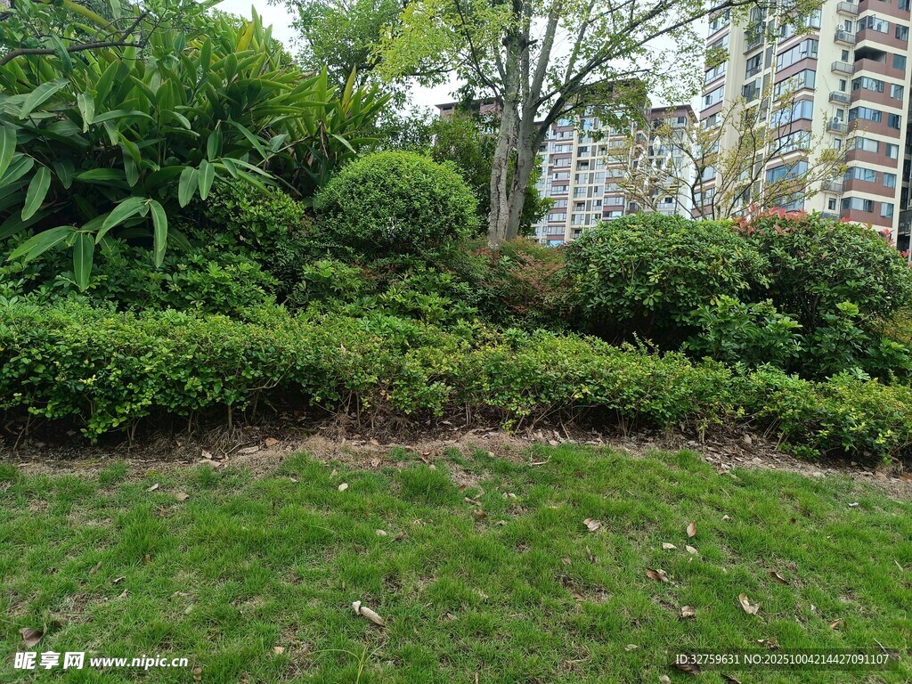 城市中的绿植景观