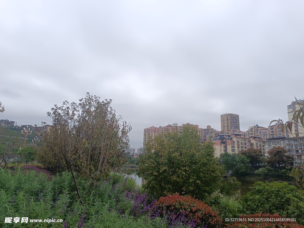 花园中的建筑与绿植景观