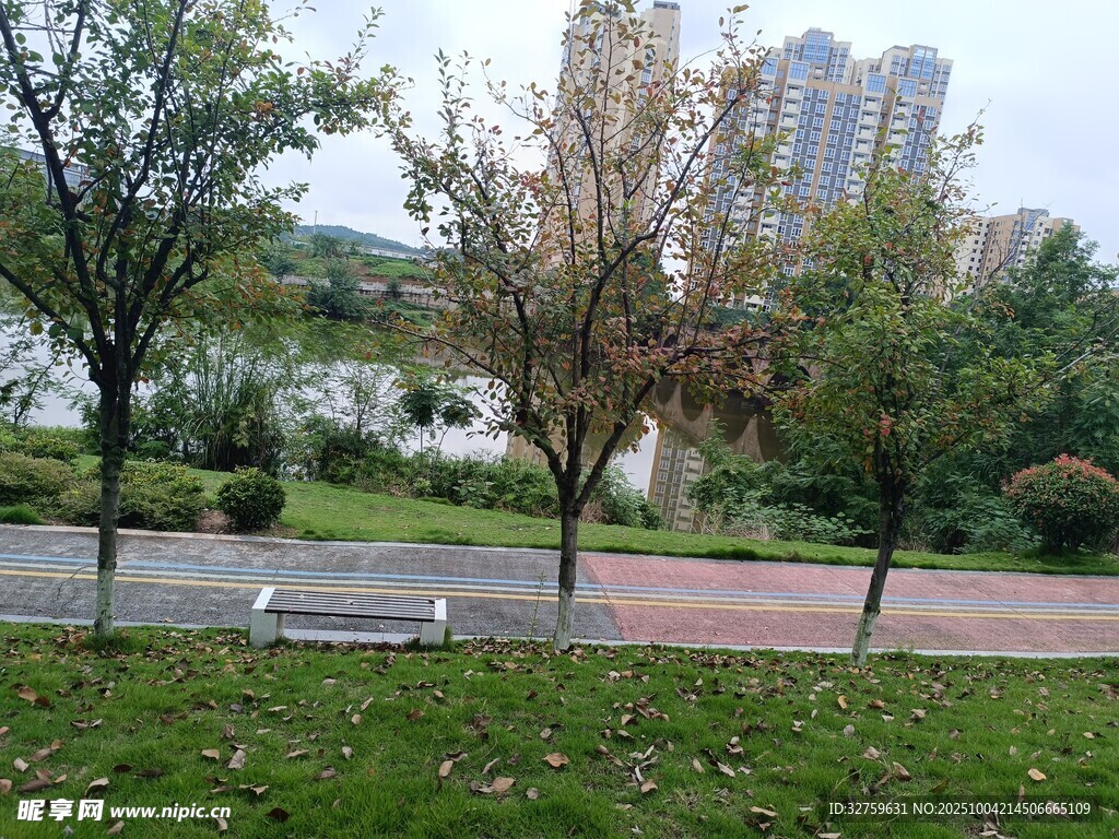 城市公园中的宁静景致