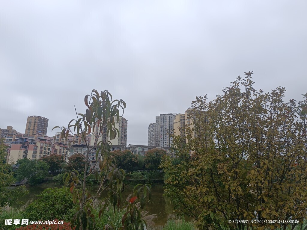 城市中葱郁的绿植景观