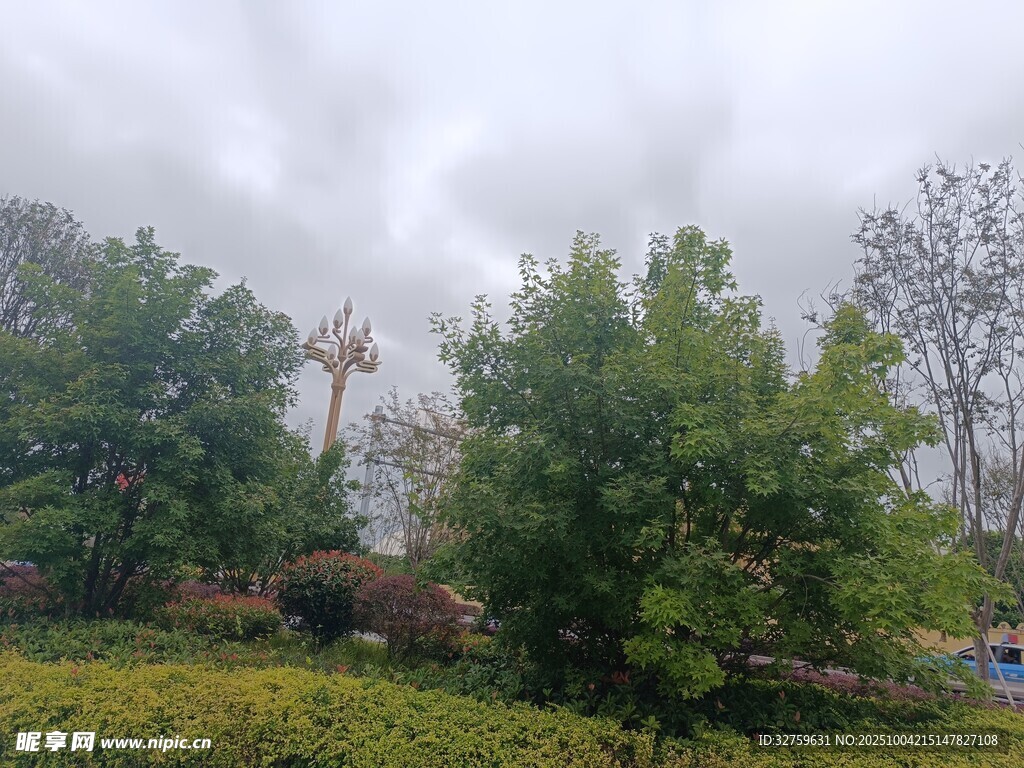 户外绿意盎然的自然景致