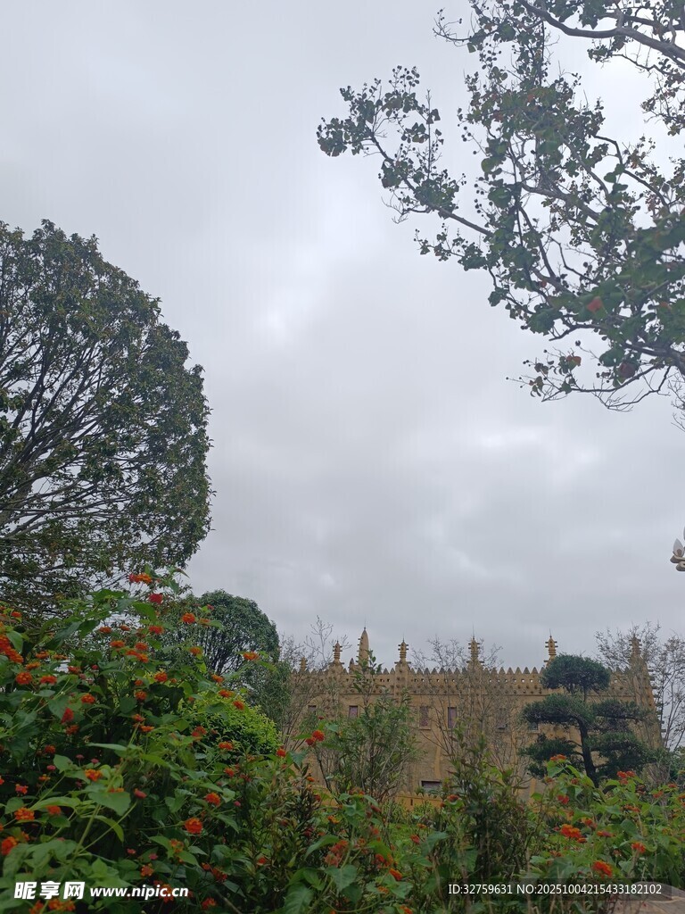 云雾中葱郁的山林景观