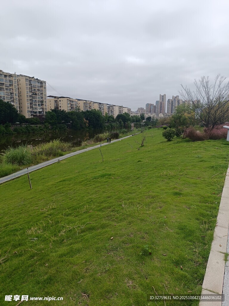 城市中宽阔的绿草地景观