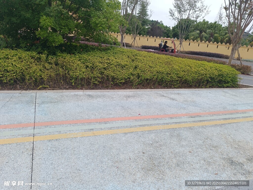 户外道路旁的绿植景观