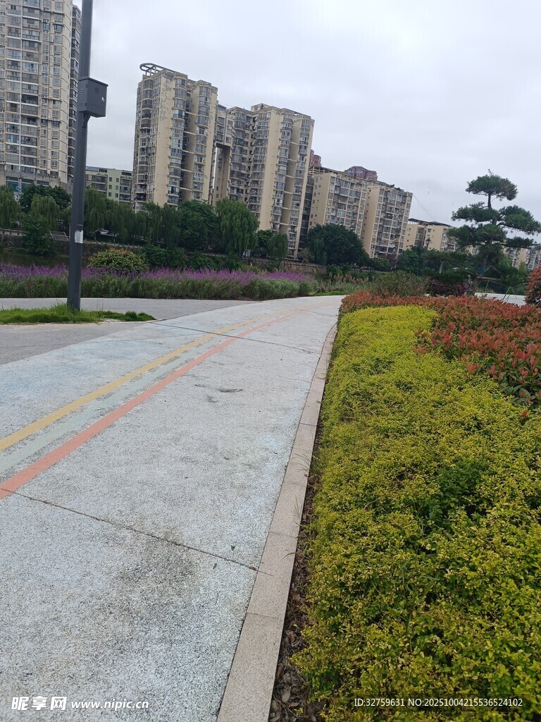 城市步道旁的绿植与建筑