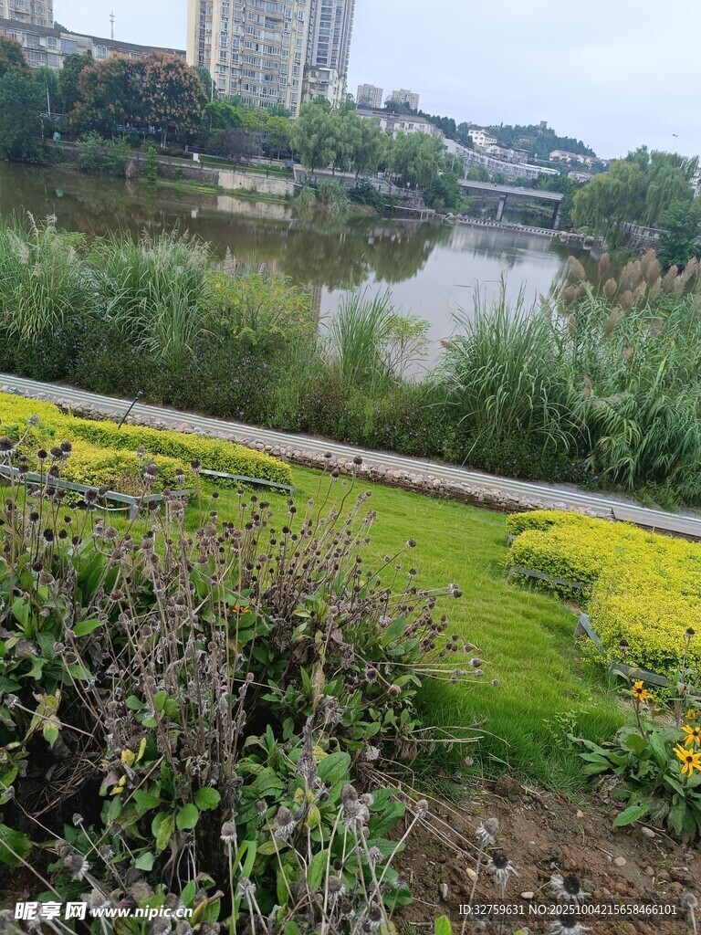 河畔多彩花卉景观