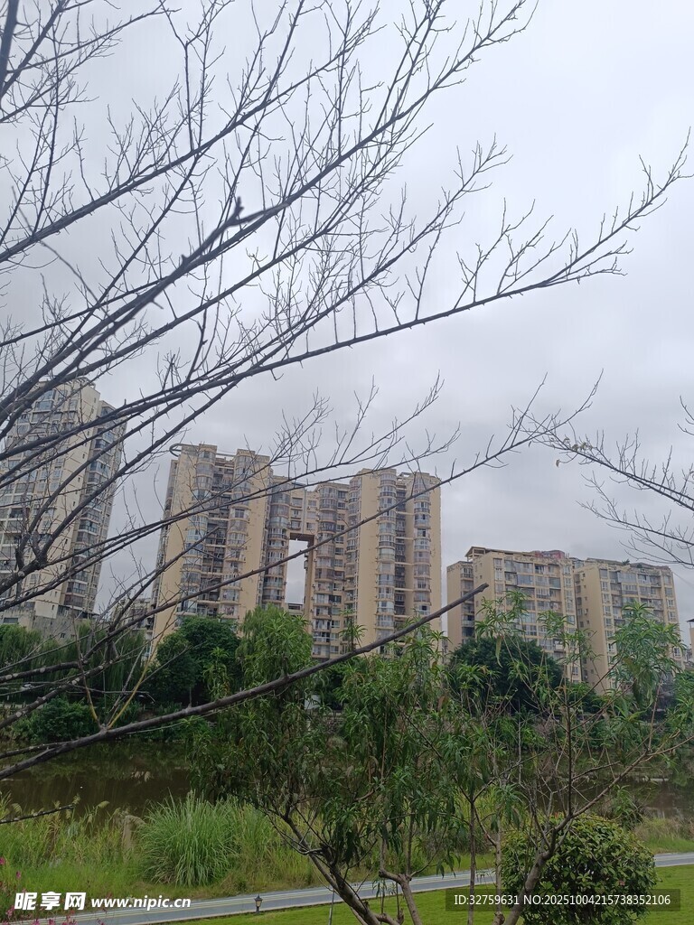 雾中林立的城市居民楼