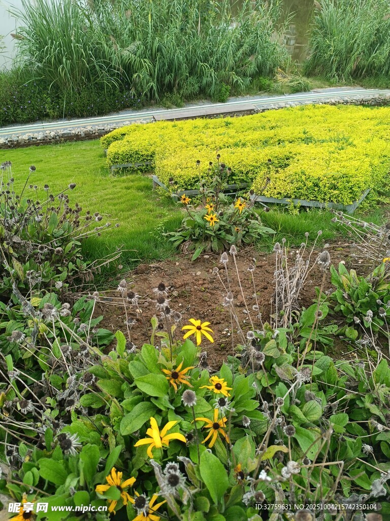 多彩花卉装点的户外景致