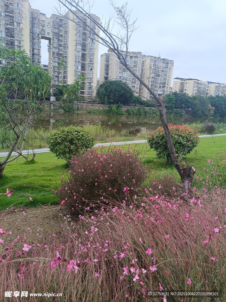 城市公园中的花草与建筑