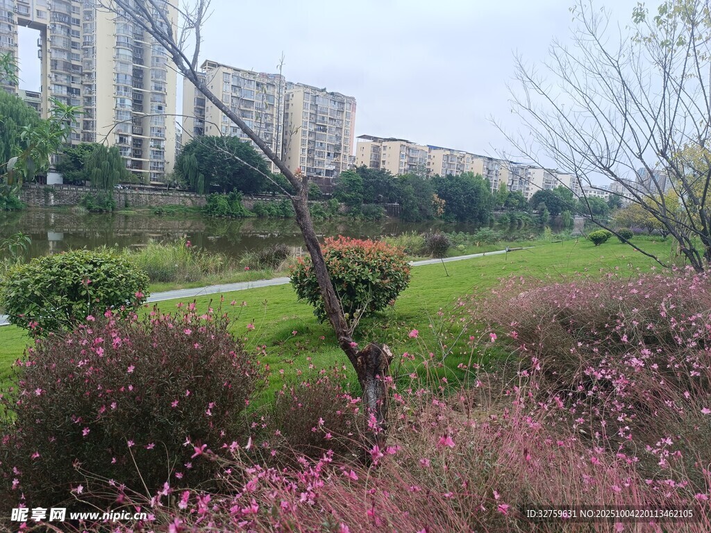 城市公园中的多彩植物景观
