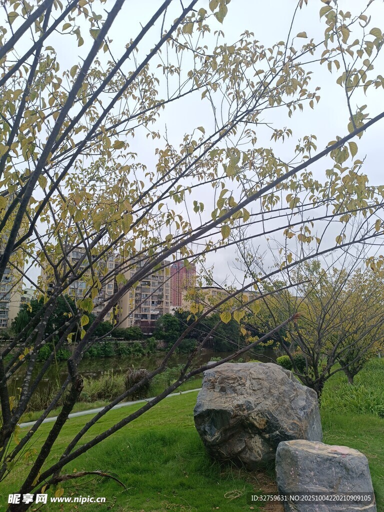春日园林景致