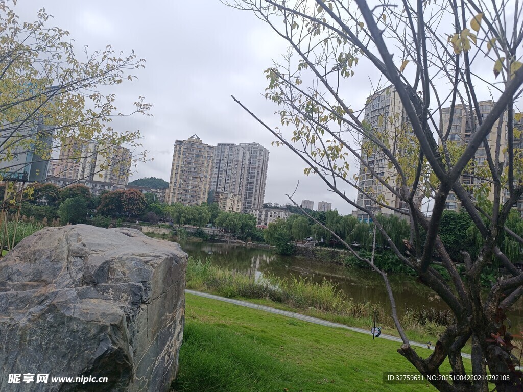 城市中的静谧园林景观