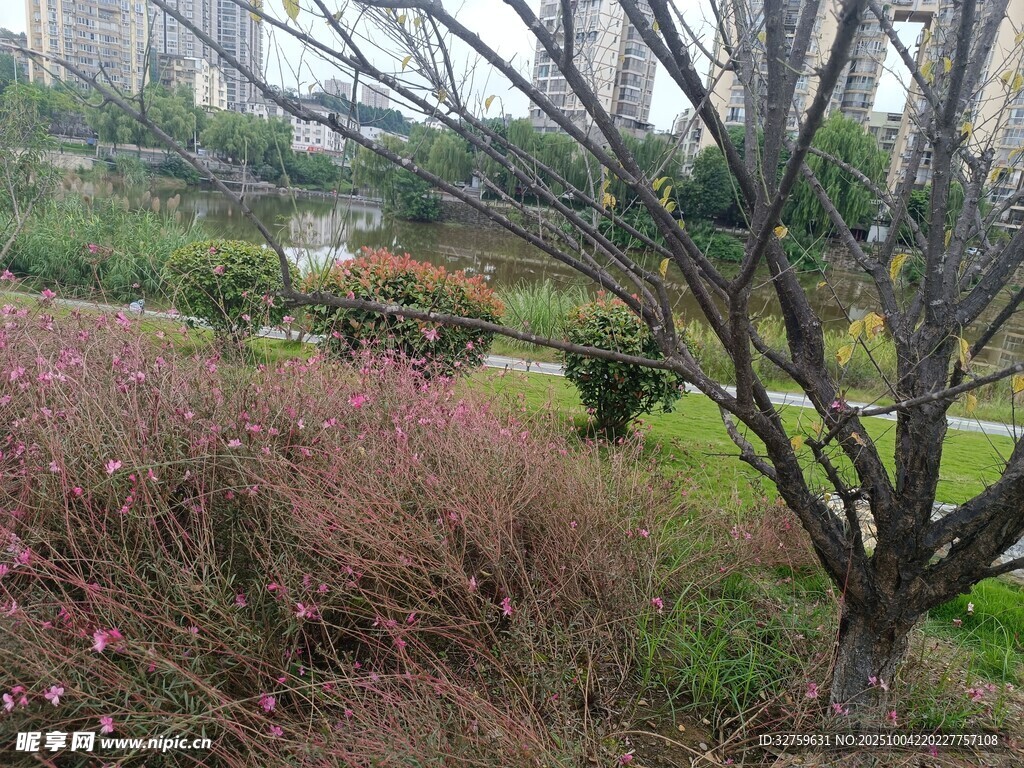 城市公园中的自然景致