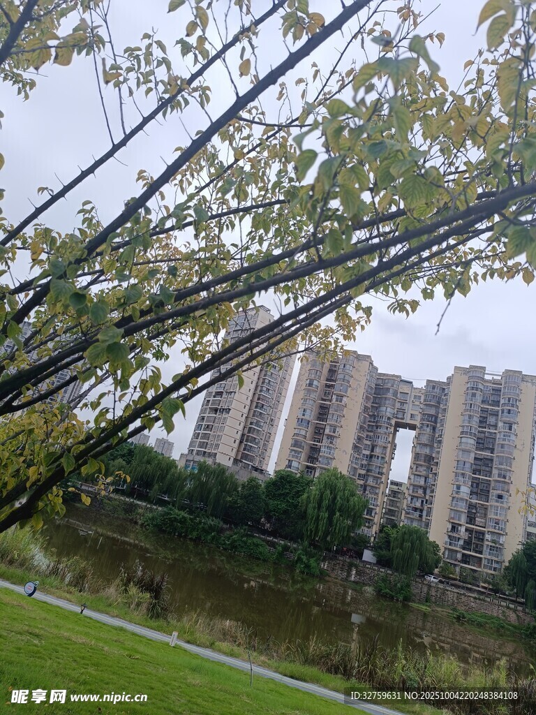 湖畔绿树旁的高层住宅区