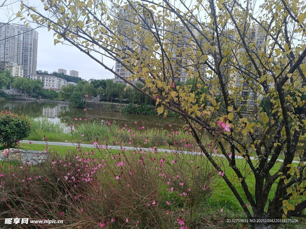 春日公园繁花初绽景象