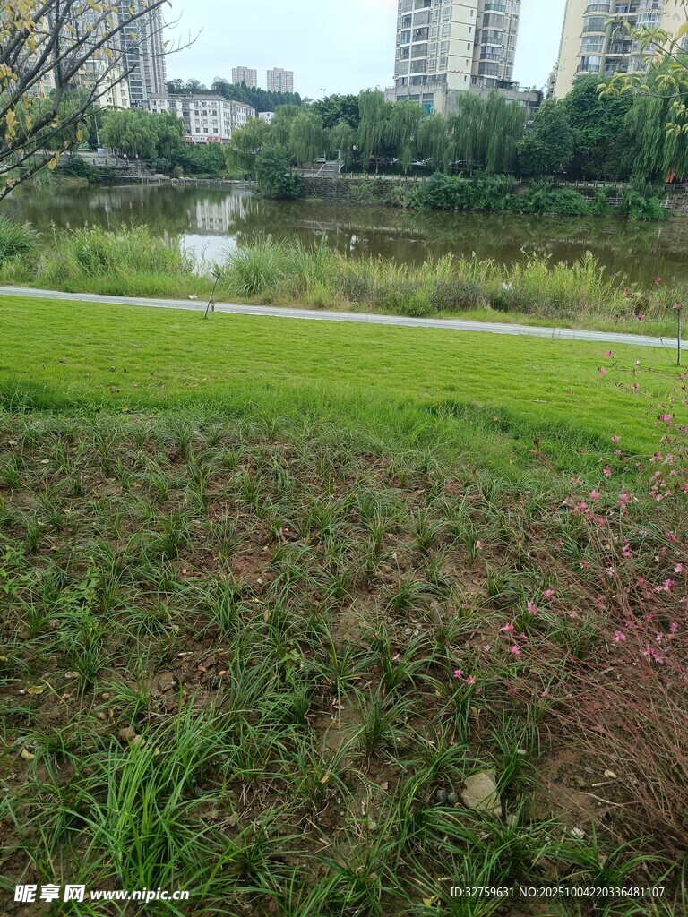 城市中的绿意河畔景观
