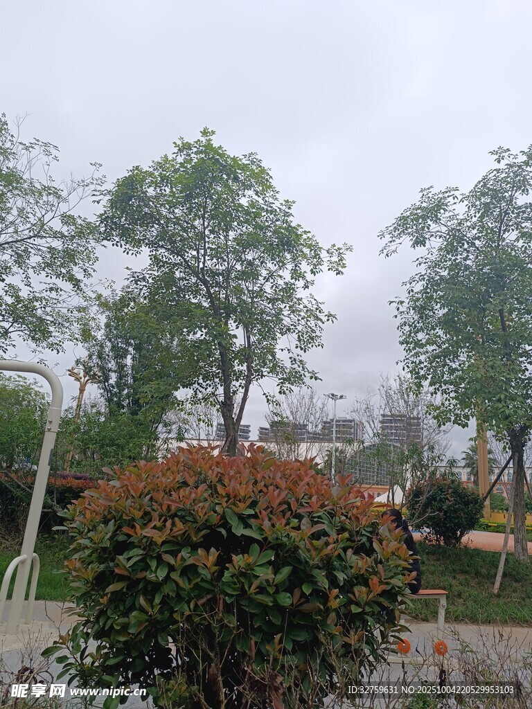 户外绿植景观