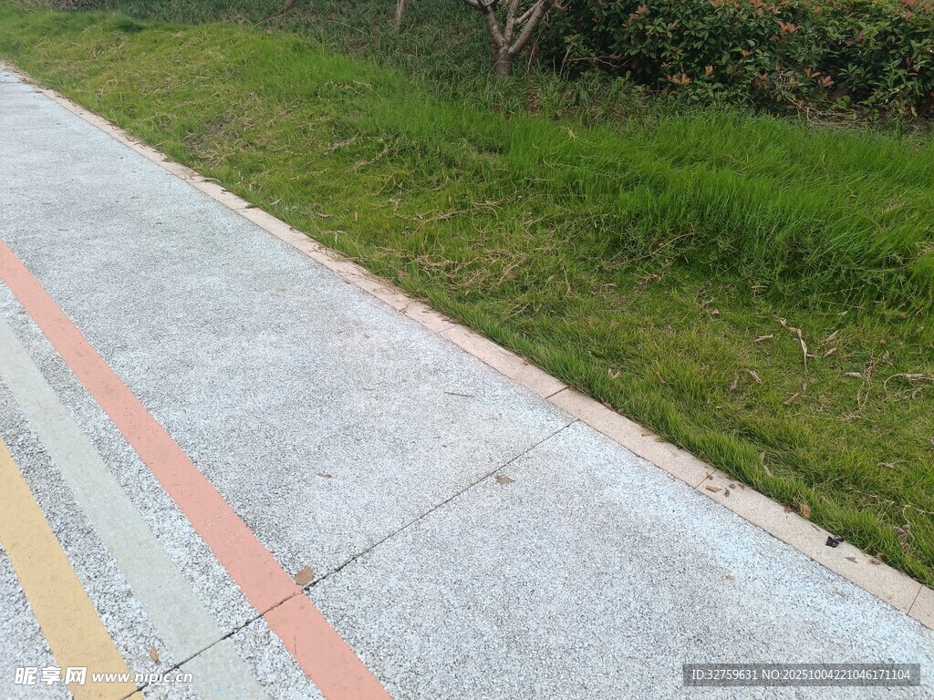 路边彩色标线与草地景观