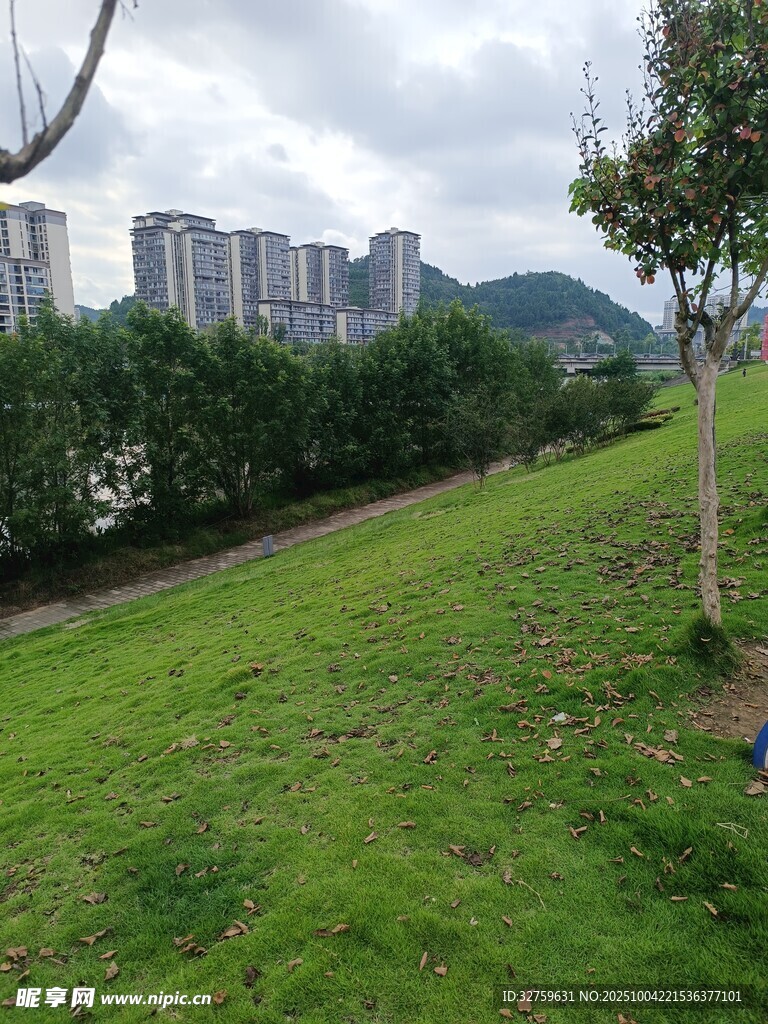 城市边的翠绿草地与建筑