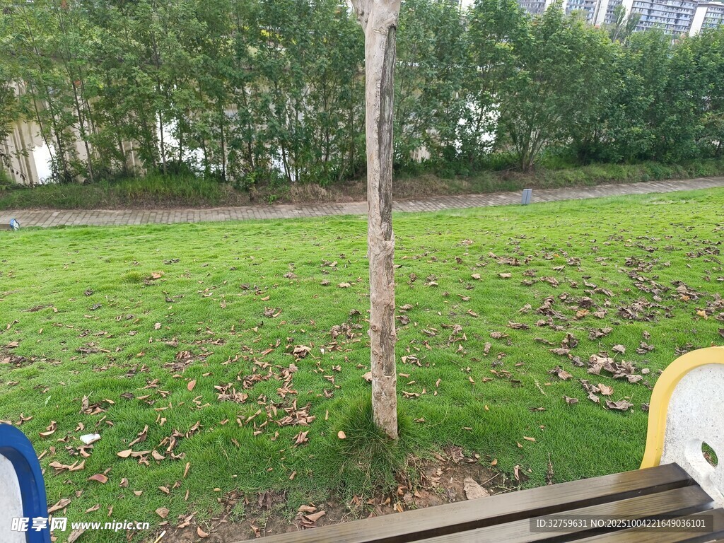 公园草地旁的休闲座椅