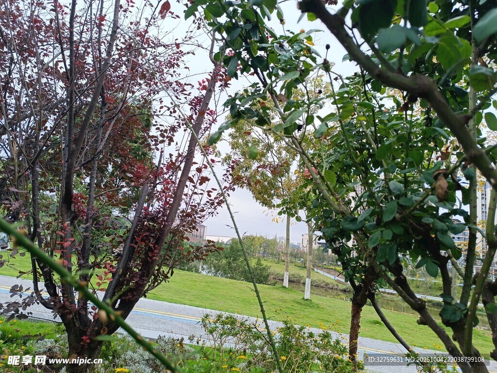 雨中园林景致
