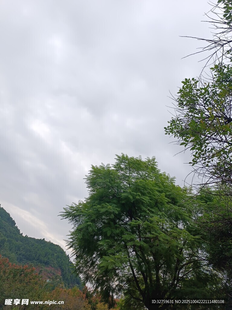 山林间的绿树与朦胧天空