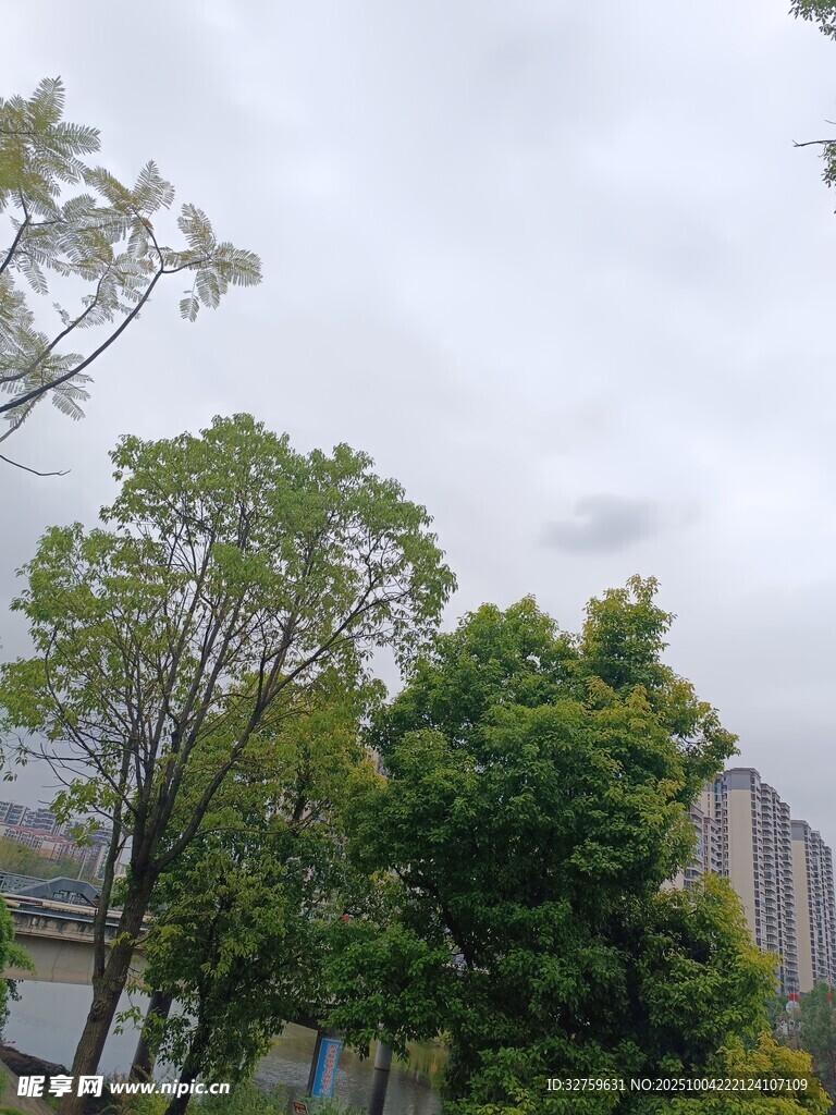 绿树环绕的城市景观