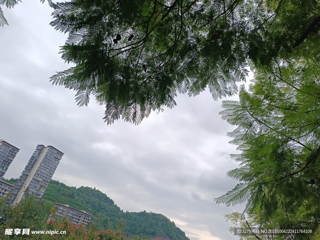 绿树掩映下的城市与山峦