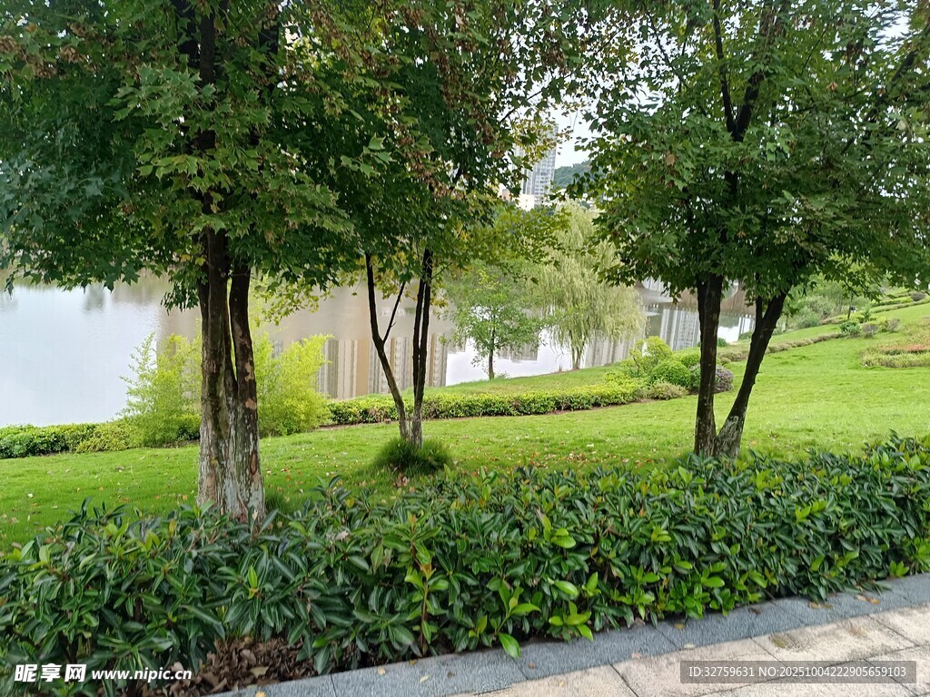湖畔绿树成荫的美丽景致