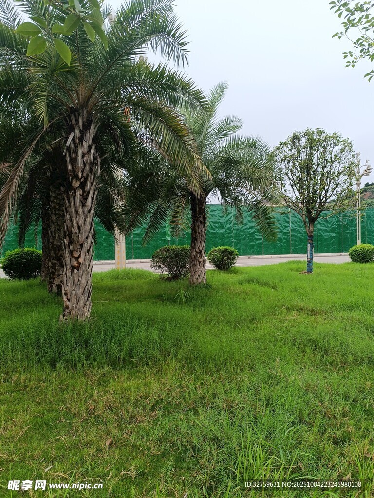 绿意盎然的户外园林景观