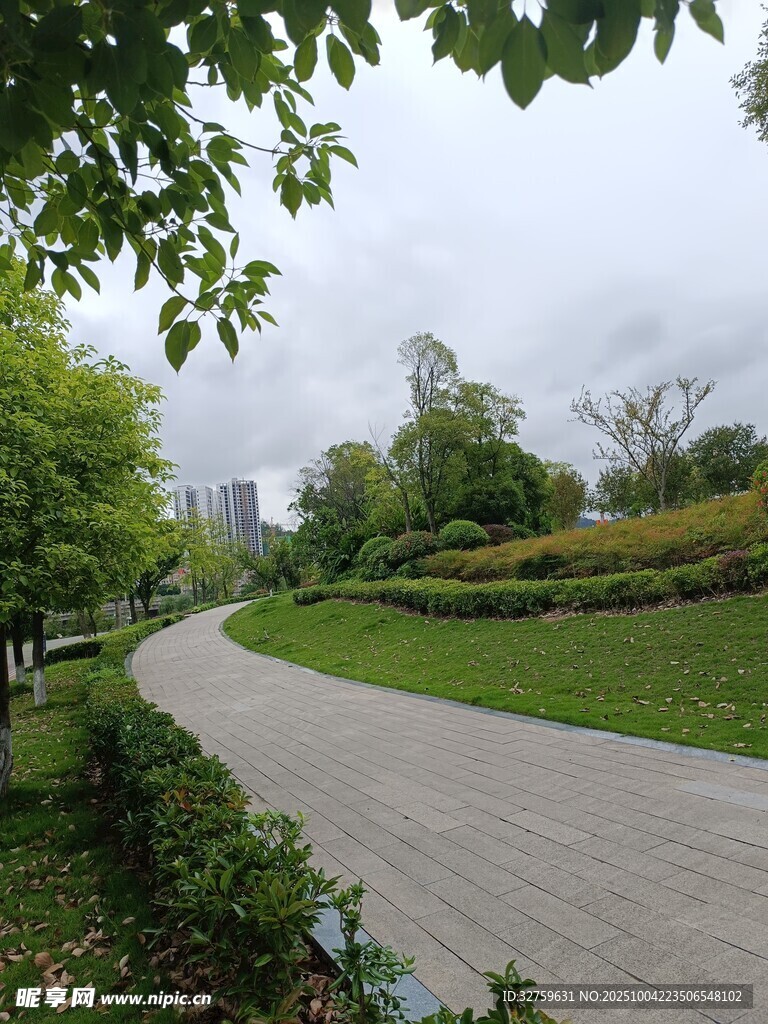 城市中的静谧林荫步道