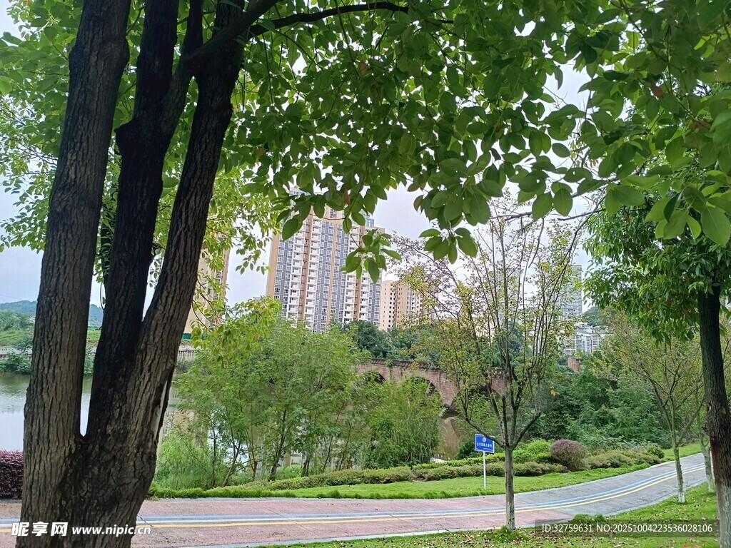 城市中静谧的绿树环绕小径