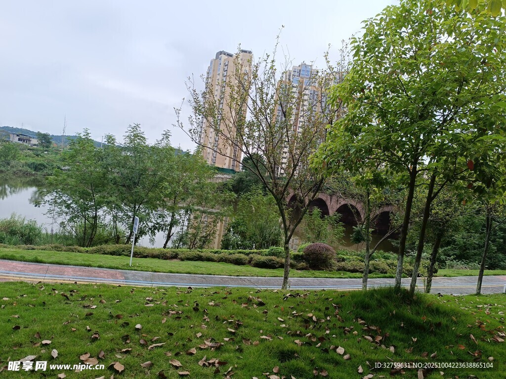 湖畔绿树旁的建筑景观
