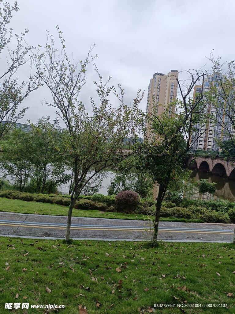 城市河畔公园绿意景致