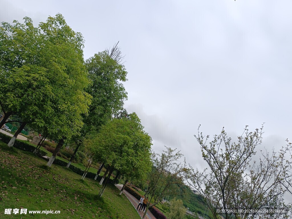 绿意盎然的户外风景