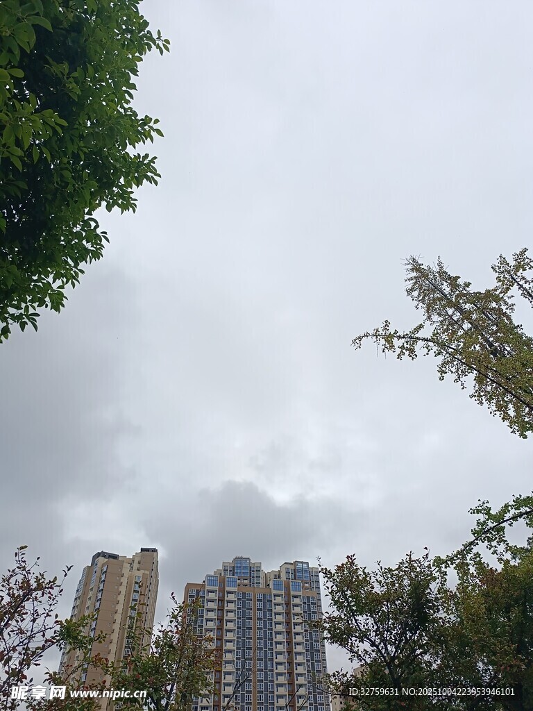 城市高楼与绿树相映