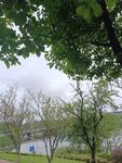 湖畔绿树环绕的宁静景致