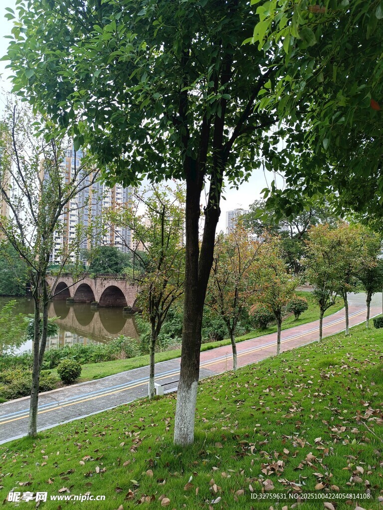 公园秋日林荫小道景致