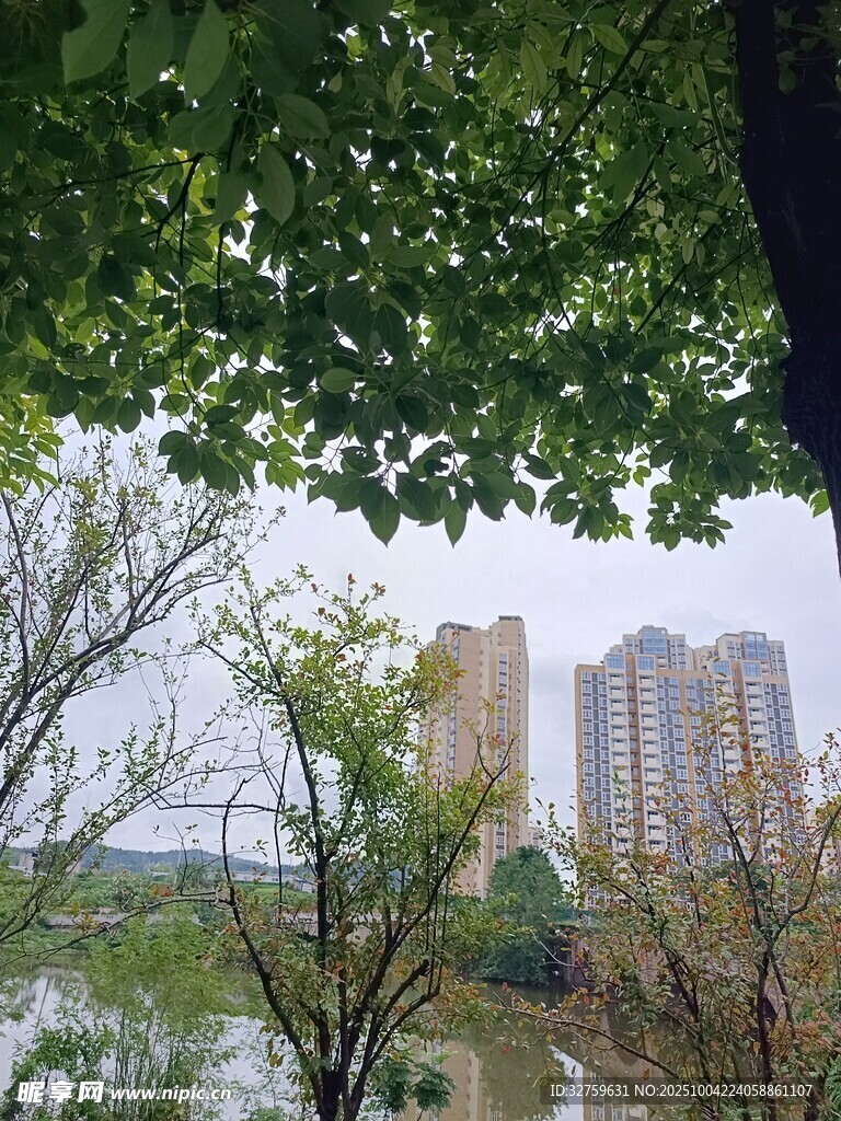 湖畔绿树掩映高楼