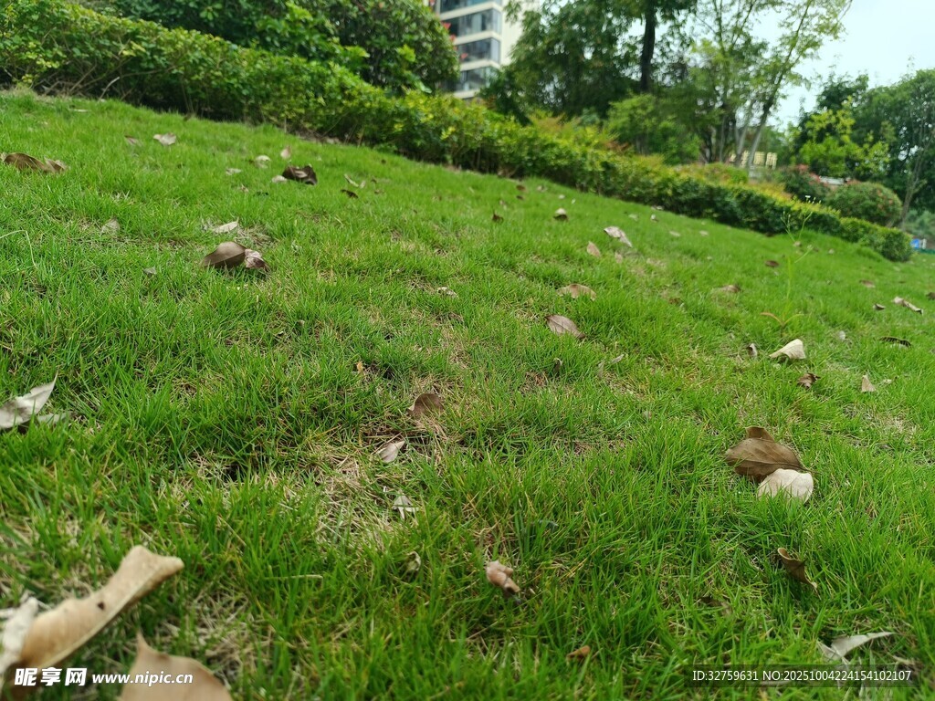 草地上散落的石头景观
