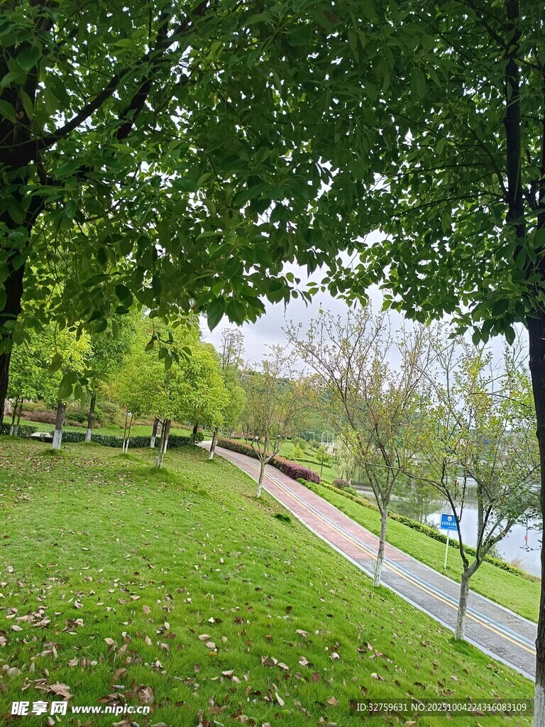 公园绿意小径风景