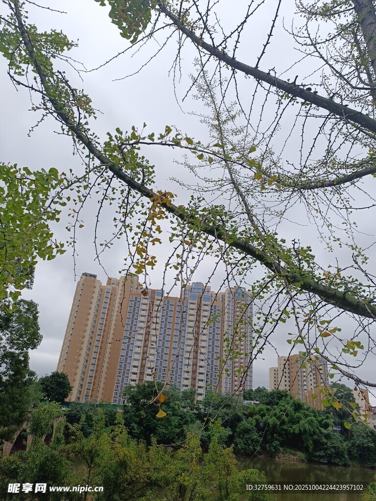 城市高楼与繁茂绿植景观