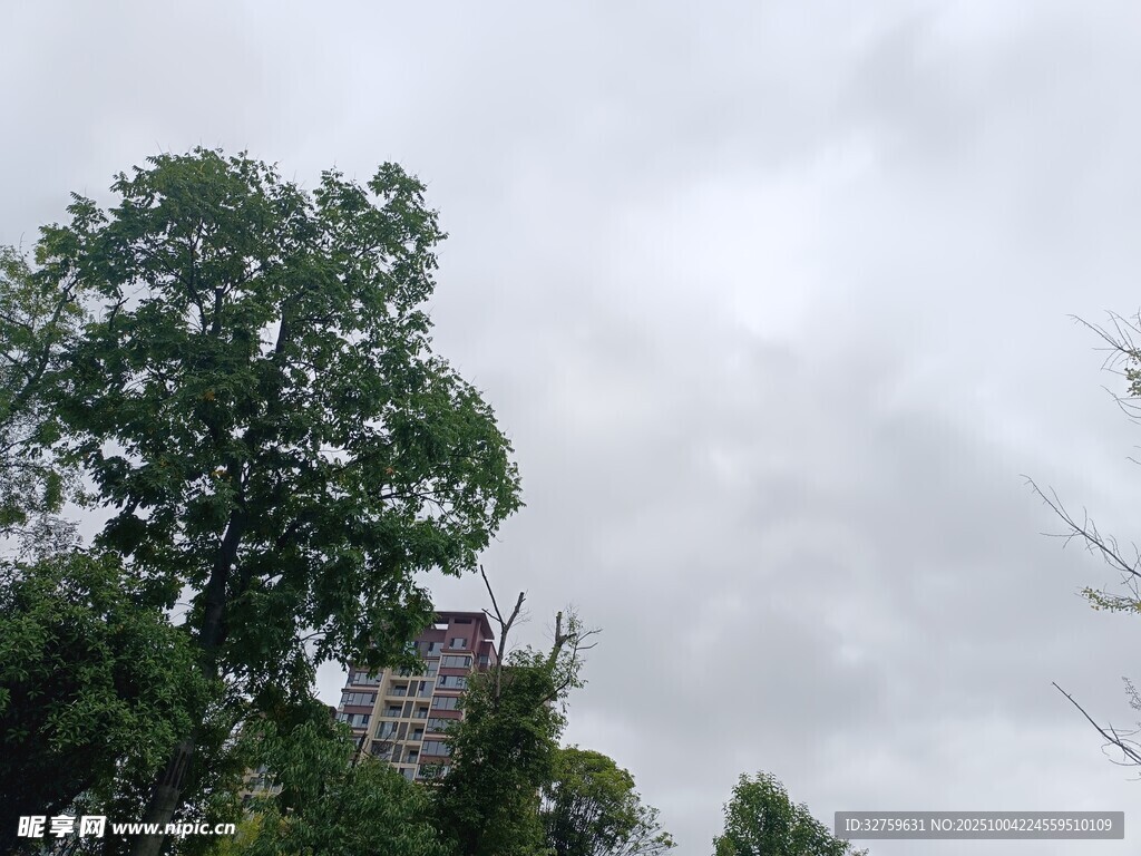绿树掩映下的城市建筑