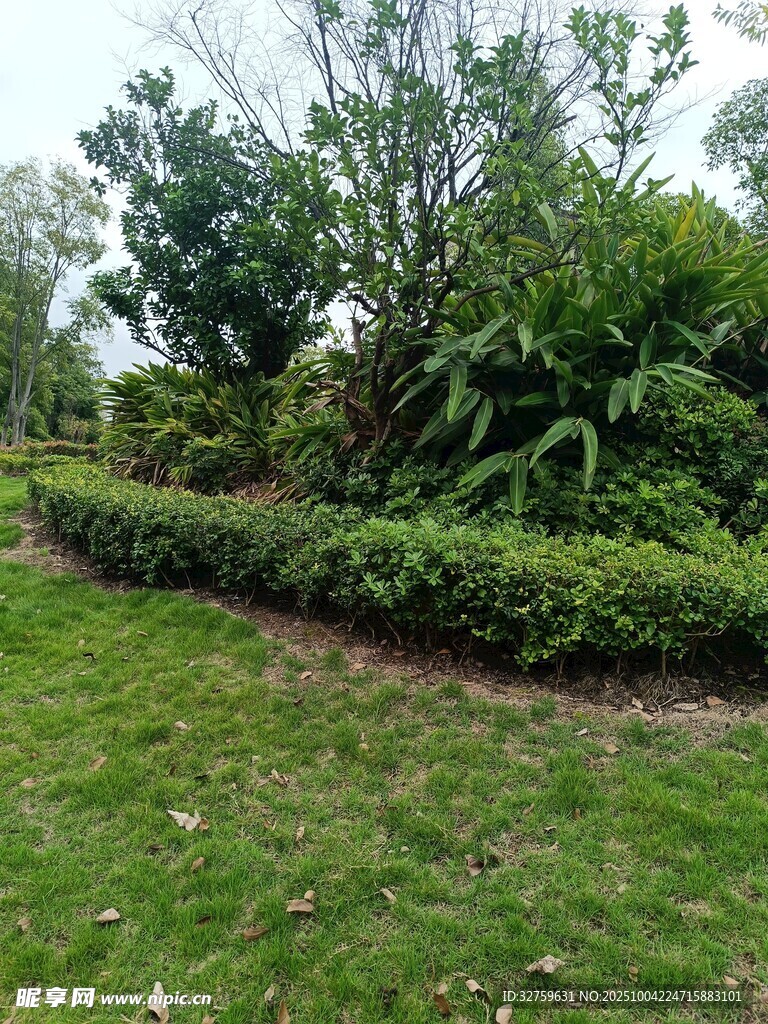 绿意盎然的园林景观