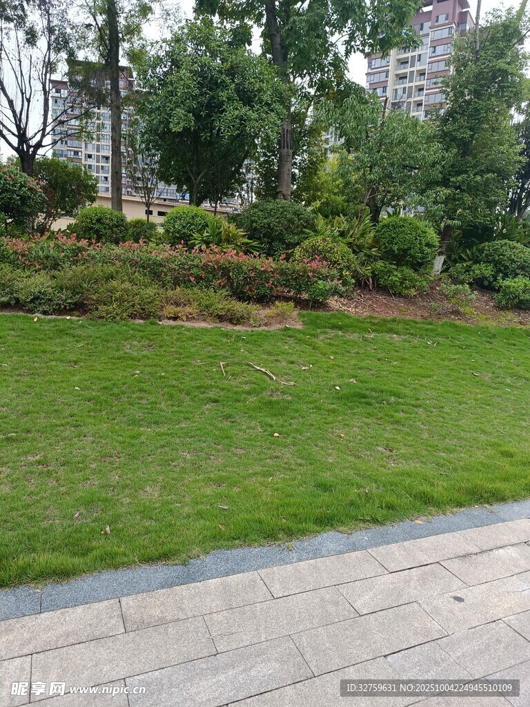 城市中的绿意草坪景观