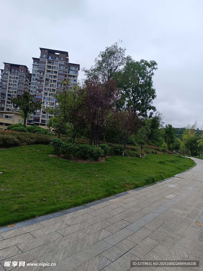 城市中蜿蜒的绿地小径