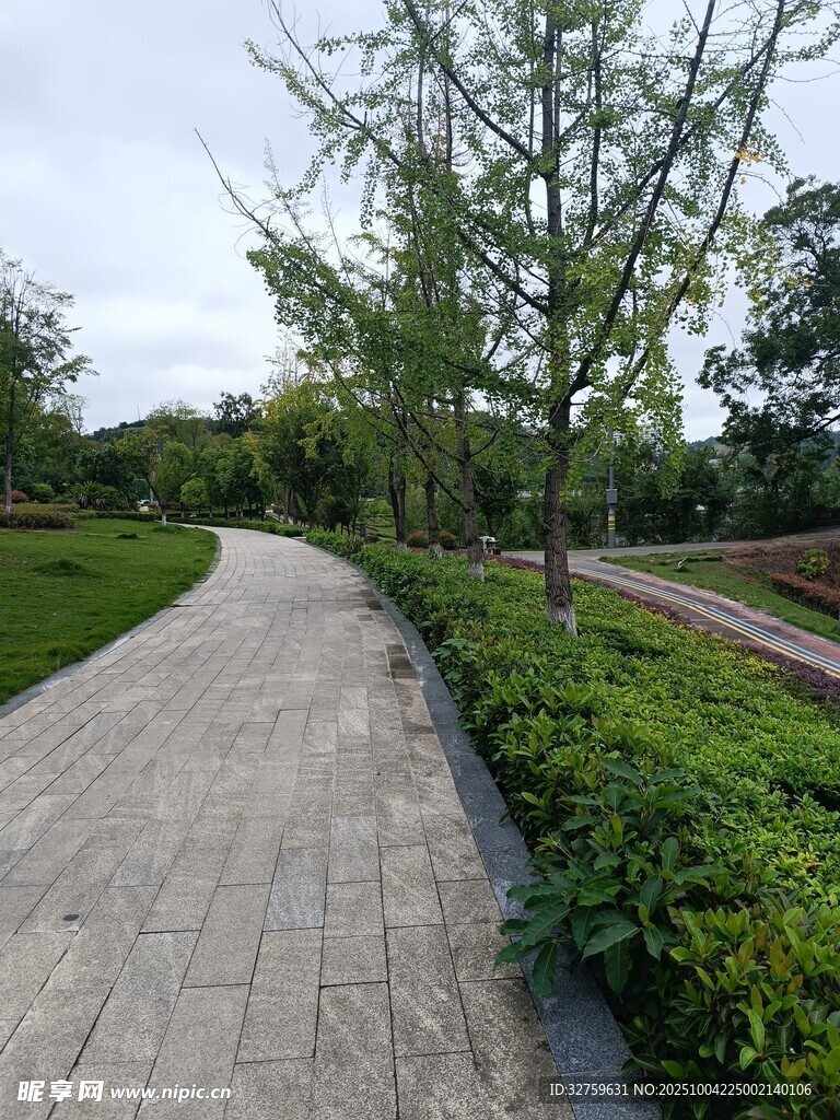 林间步道 